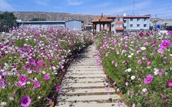 writeas上层玩具(下)